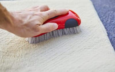 Top 10 Best Carpet Brushes in 2021 Reviews - Guide Me